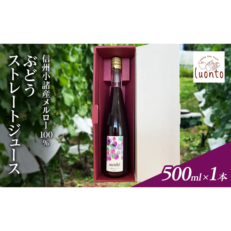 信州小諸産メルロー100% ぶどうストレートジュース　500ml×1本