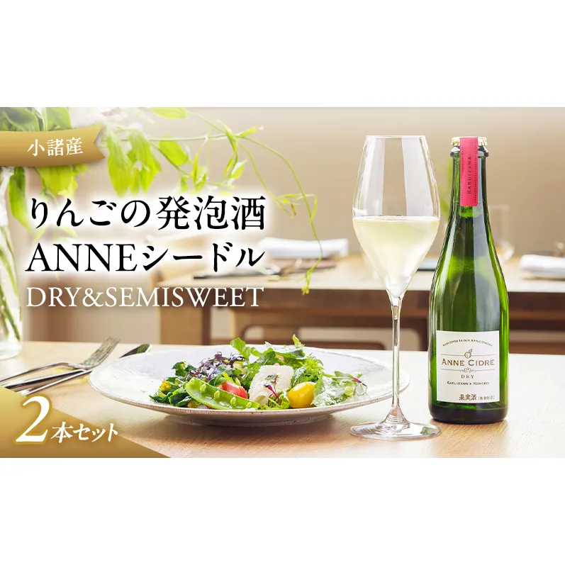小諸産 りんごの発泡酒 ANNEシードル（DRY＆SEMISWEET）２本セット