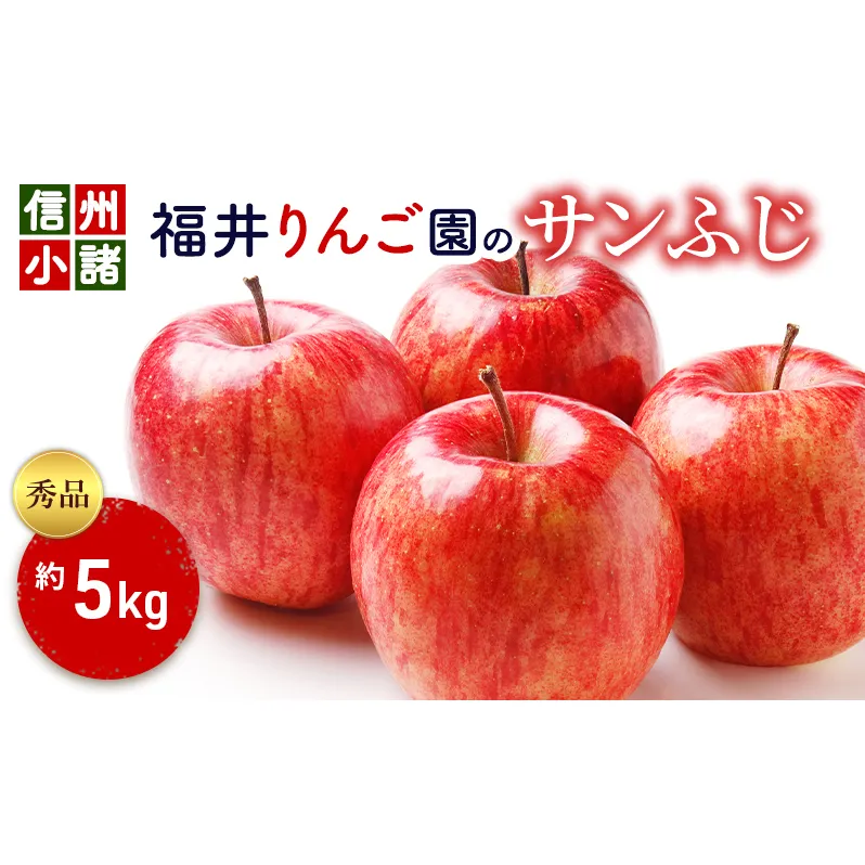 信州小諸・福井りんご園のサンふじ　秀品　約5kg　 果物類 林檎 リンゴ 