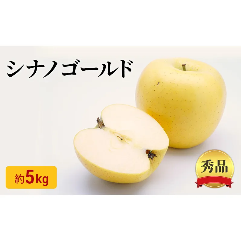 シナノゴールド 秀品 約5kg 長野県産 果物類 林檎 りんご リンゴ フルーツ 小諸市