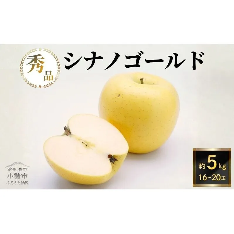 【2026年10月下旬～発送予定】 先行予約 シナノゴールド 秀品 約5kg 16～20玉入 長野県産 果物類 林檎 りんご リンゴ フルーツ 小諸市