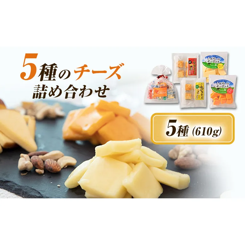 5種のチーズ詰め合わせおつまみ 詰め合わせ セット 長野 信州 小諸 乳製品 加工食品 盛り合わせ