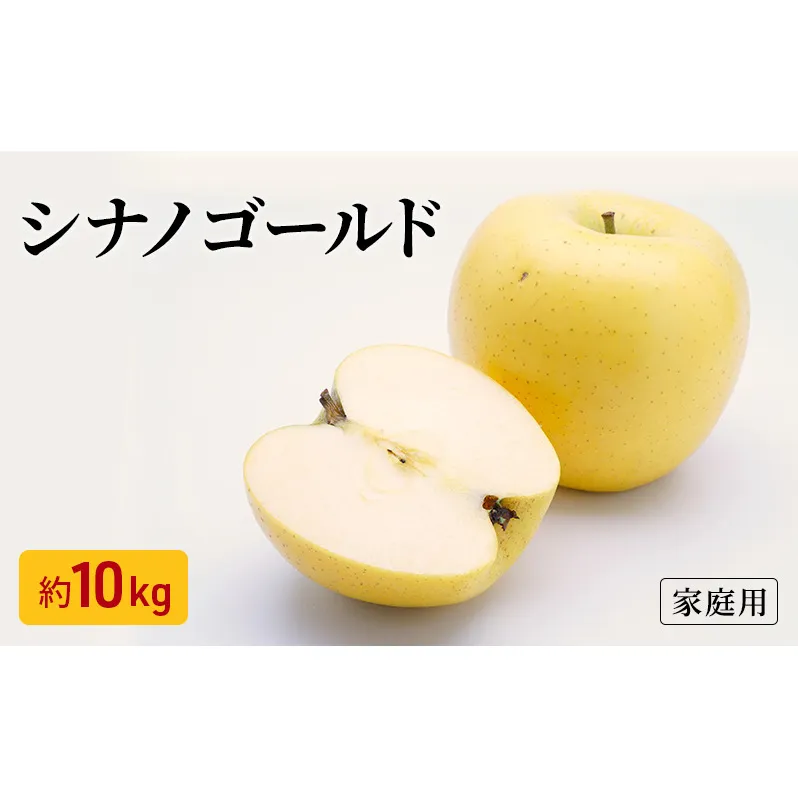 りんご シナノゴールド 家庭用 約10kg フルーツ 果物 甘い 訳あり 林檎 リンゴ