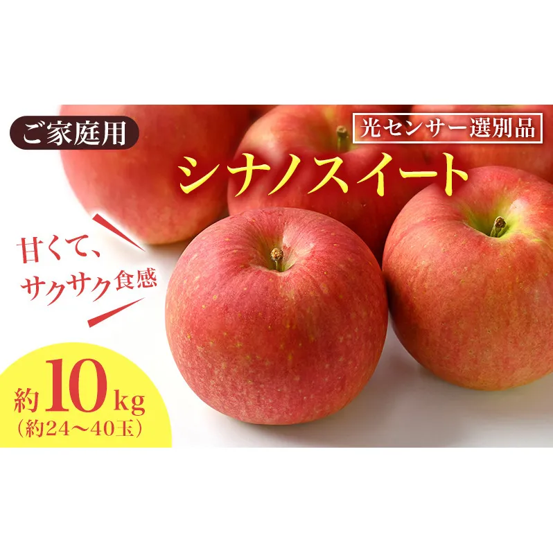 りんご シナノスイート 家庭用 約10kg  フルーツ 果物 甘い 訳あり おいしい 林檎