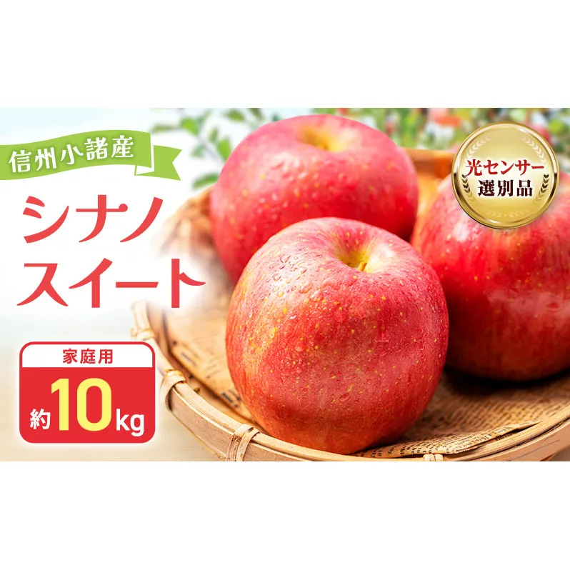 【2026年10月中旬～発送予定】 先行予約 訳あり りんご シナノスイート 約10kg 24～40玉入 家庭用 フルーツ 果物 甘い 訳あり おいしい 林檎