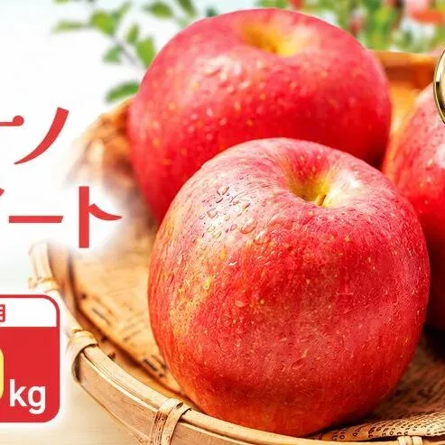 【2026年10月中旬～発送予定】 先行予約 訳あり りんご シナノスイート 約10kg 24～40玉入 家庭用 フルーツ 果物 甘い 訳あり おいしい 林檎