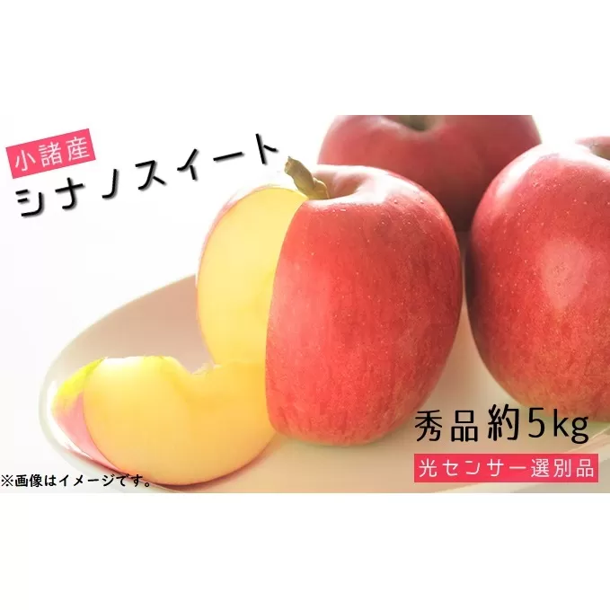 信州小諸産 シナノスイート 秀品 約5kg 長野県産 果物類 林檎 りんご リンゴ