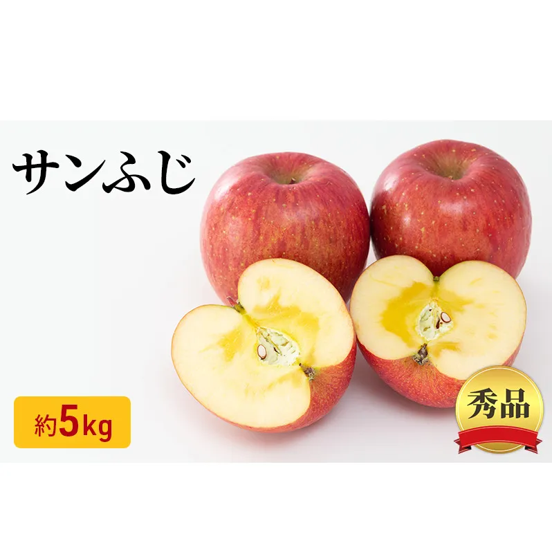 サンふじりんご 秀品 約5kg 長野県産 果物類 林檎 りんご リンゴ フルーツ 小諸市
