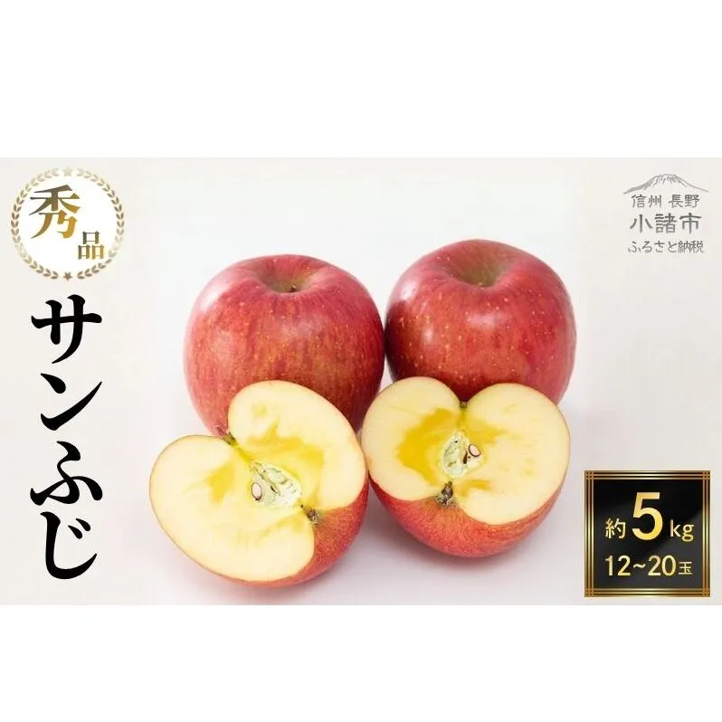 【2026年11月下旬～発送予定】 先行予約 サンふじりんご 秀品 約5kg 12～20玉入 長野県産 果物類 林檎 りんご リンゴ フルーツ 小諸市