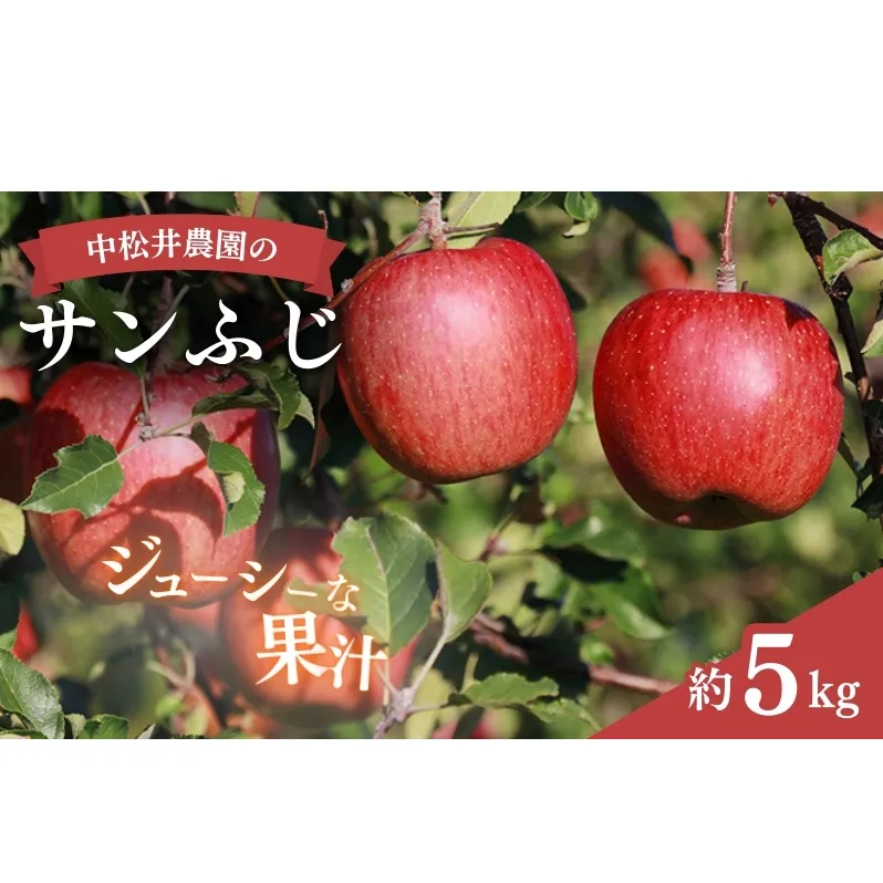 中松井農園のサンふじ　約5kg 長野 小諸 信州 リンゴ 林檎 果物類 りんご