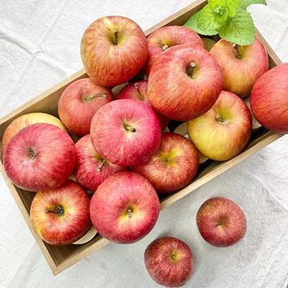 訳あり 信州シナノスイート 約5kg 松澤農園 果物類 林檎 りんご リンゴ わけあり