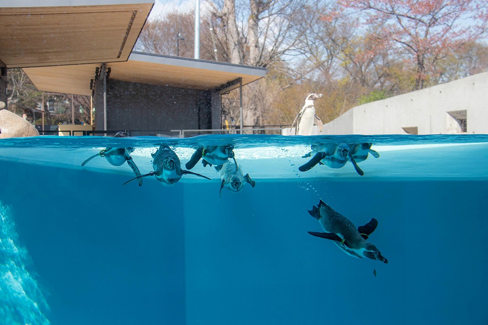 小諸市動物園