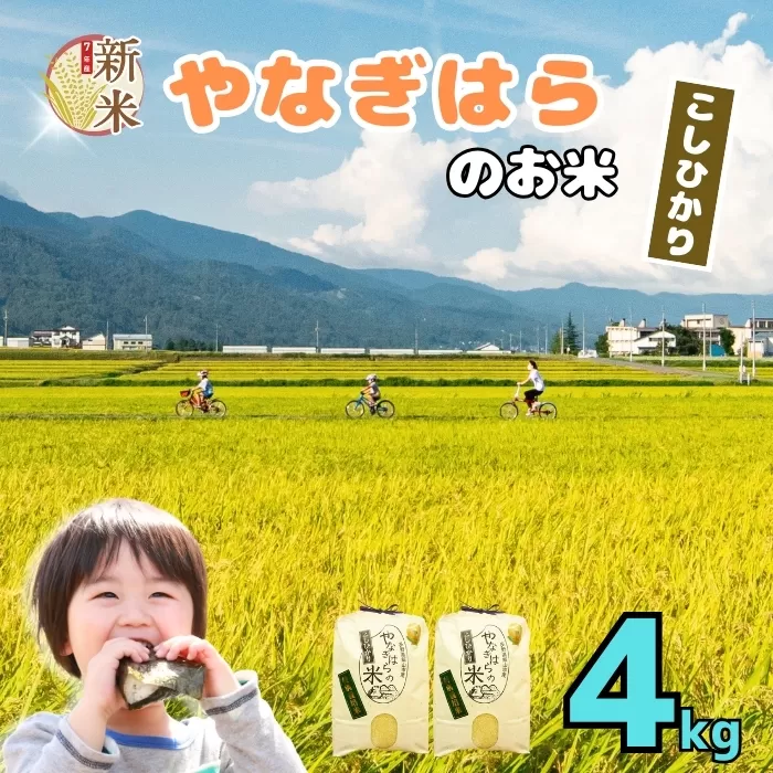 [先行予約][令和7年産新米]特別栽培米 「やなぎはらの米 こしひかり」 精米 4kg (7-66)