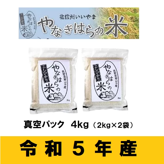 【令和5年産】「やなぎはらの米　こしひかり」4kg（真空包装） (5-52A) 