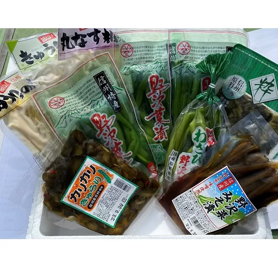 信州の味　野沢菜と漬物セット9種類11袋(H-1.2)