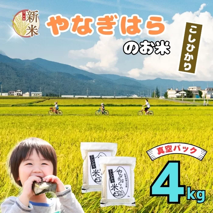 [先行予約][令和7年産新米]特別栽培米 「やなぎはらの米 こしひかり」 精米 4kg(真空包装) (7-67)