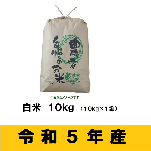 【令和5年産 】奥信濃飯山〜木内ファームのお米〜 10kg(5-40A) 