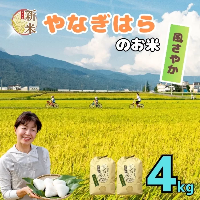 [先行予約][令和7年産新米]特別栽培米「やなぎはらの米 風さやか」 精米 4kg (7-69)