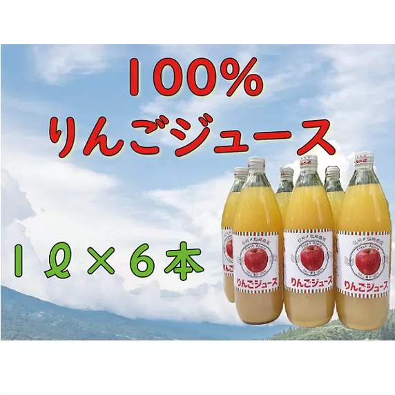 信州１００％リンゴジュース（1L瓶×6本）(D-1.4)