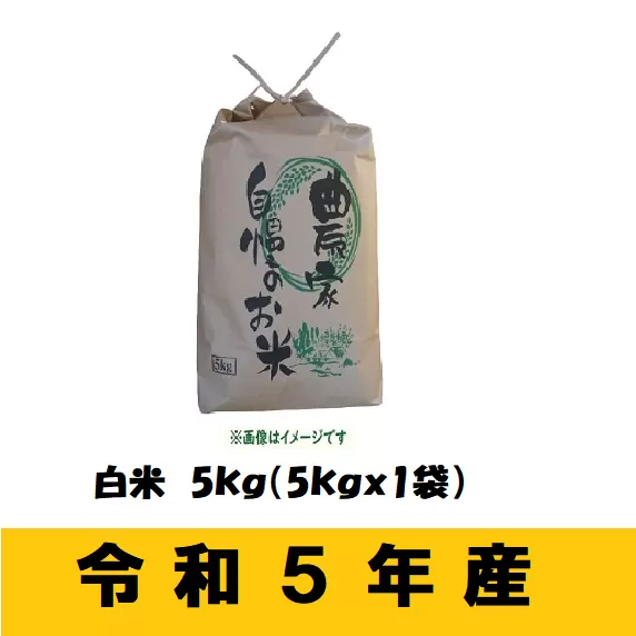【令和5年産 】奥信濃飯山〜木内ファームのお米〜 5kg(5-39A) 