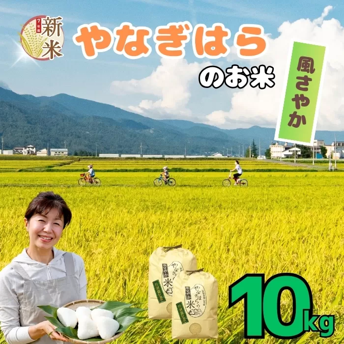 【先行予約】＜令和7年産新米＞特別栽培米 「やなぎはらの米 風さやか」 精米 10㎏ (7-71)