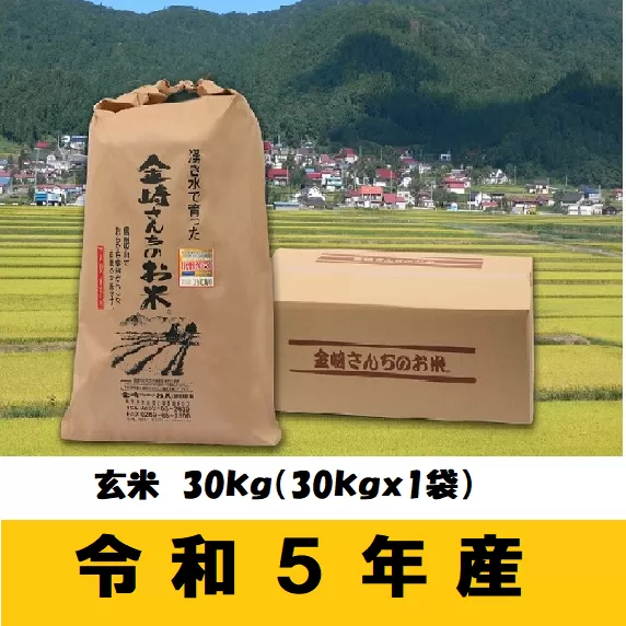 【令和5年産】「金崎さんちのお米」玄米30kg(5-16A) 