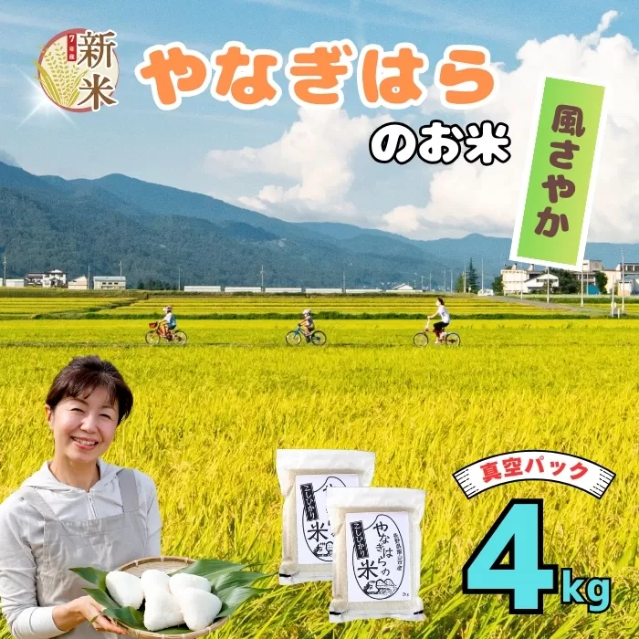 [先行予約][令和7年産新米]特別栽培米「やなぎはらの米 風さやか」 精米 4kg(真空包装) (7-70)