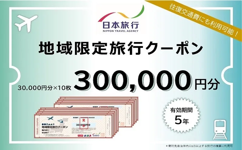 長野県軽井沢町　日本旅行　地域限定旅行クーポン300,000円分 チケット 宿泊券 家族 友人 恋人 休息 リフレッシュ 
