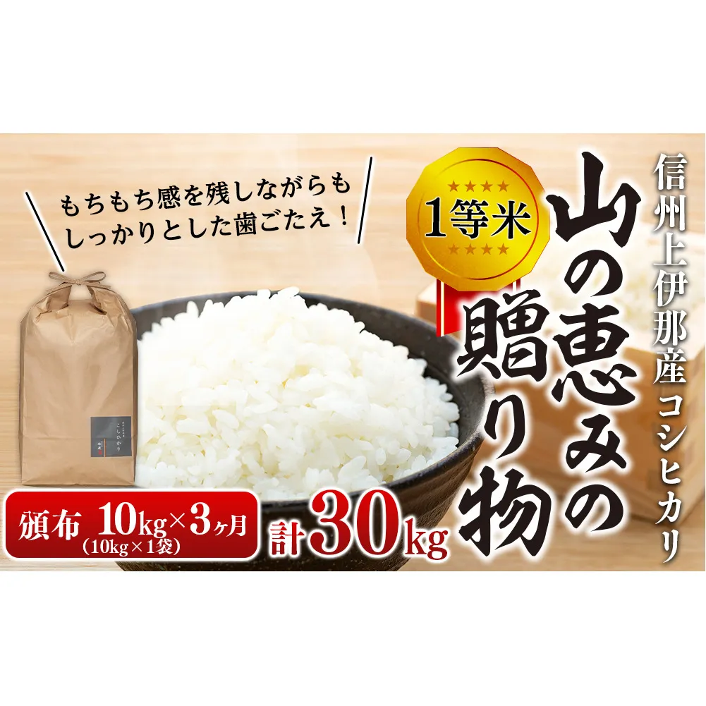 【令和7年産】３ヶ月連続お届け 定期便 信州産 コシヒカリ 1等米 「山の恵みの贈り物」 10kg(10kg×1袋)　計30kg （ お米 コシヒカリ 白米 搗きたて米 低温貯蔵米 食品 ) 長野県　箕輪町 