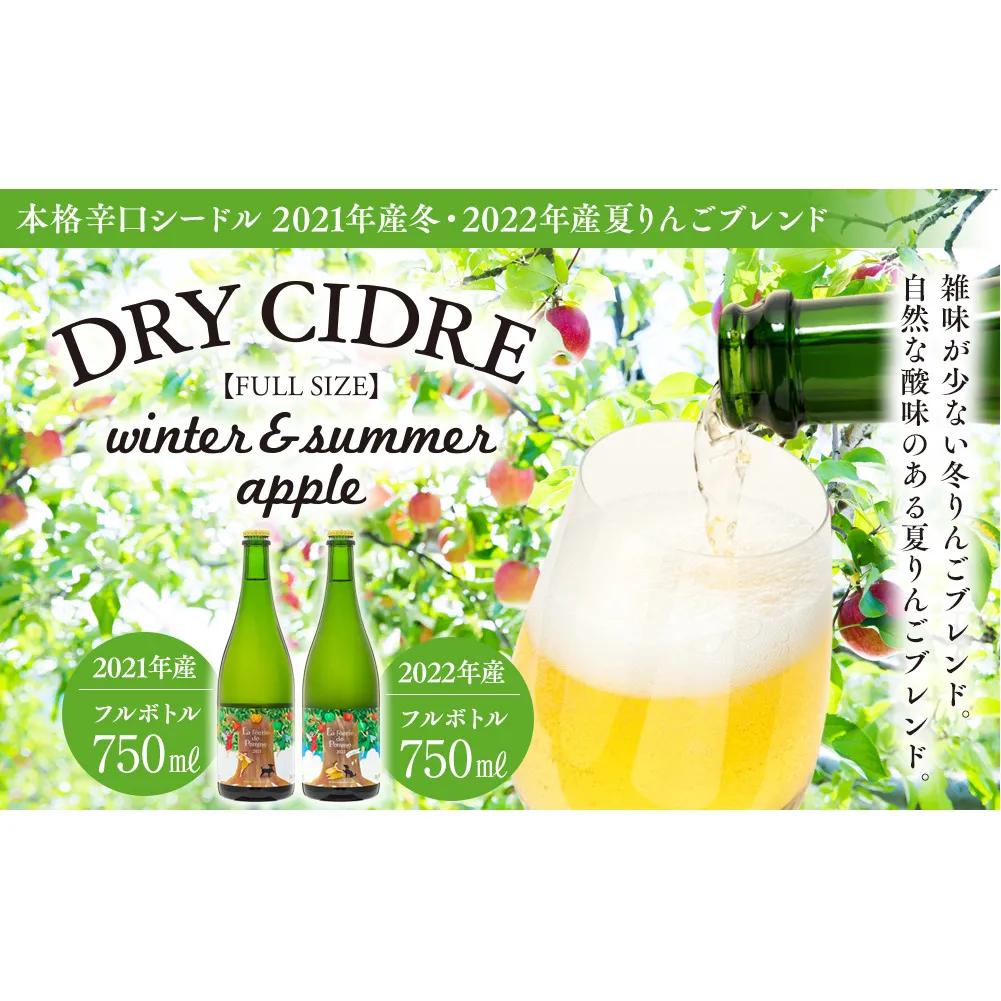シードル 冬・夏りんごブレンド フルボトル 2本 セット きめ細かい泡立ち 爽快で深み感じる 本格辛口シードル 辛口 りんご酒 アルコール お酒 酒 飲み比べ 飲み比べセット 詰め合わせ 信州 長野 長野県 