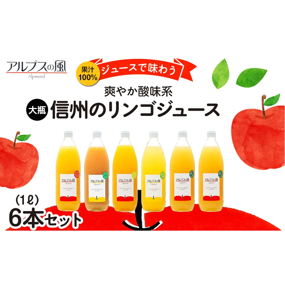 果汁100％ジュースで味わう 信州のリンゴ 爽やか酸味系 大瓶 6本 セット 詰め合わせ りんご 林檎 アップル アップルジュース ミックスジュース 無添加 飲料 飲料類 甘い 濃厚 長野 長野県