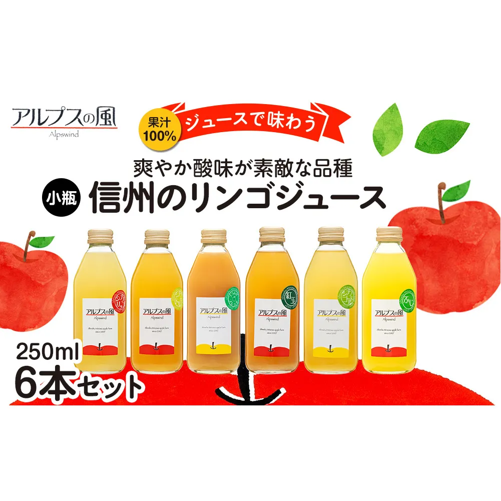 果汁100％ジュースで味わう 爽やか酸味が素敵な品種 リンゴジュース 小瓶 6本 セット 詰め合わせ ジュースで味わう信州のリンゴ 酸味爽やか りんご 林檎 アップル アップルジュース 無添加 飲料 飲料類 甘い 濃厚 長野 長野県