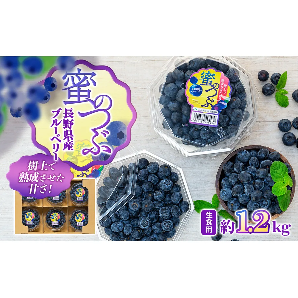 上伊那産ブルーベリー（200g×6袋） 果物 詰合せ フルーツ 生食用 1.2kg 大粒 甘酸っぱい