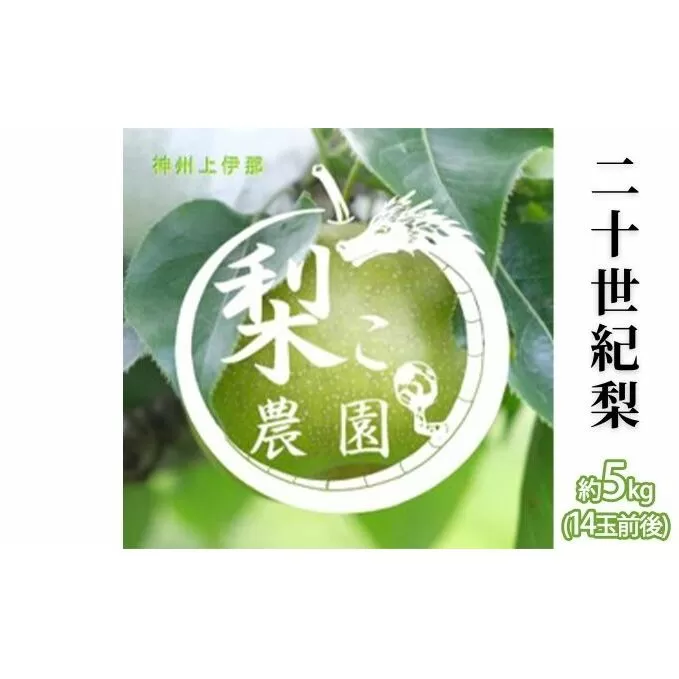 信州産 梨 二十世紀梨 約5kg（14玉前後） 先行予約 フルーツ 果物 長野 長野県産 信州産 デザート おすすめ 特産 産地直送 