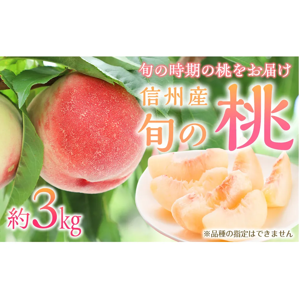 もも 3kg 11玉以上 信州のもも 桃 モモ 果物 くだもの フルーツ 旬の果物 旬のフルーツ 信州 あかつき 白桃 白根白桃 黄金桃 川中島白桃 信州 長野 長野県