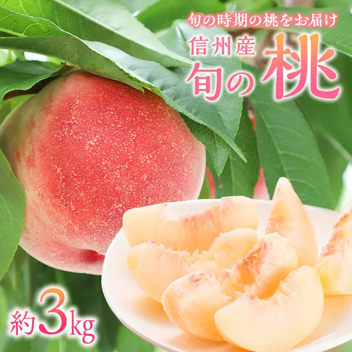 もも 3kg 11玉以上 信州のもも 桃 モモ 果物 くだもの フルーツ 旬の果物 旬のフルーツ 信州 あかつき 白桃 白根白桃 黄金桃 川中島白桃 信州 長野 長野県