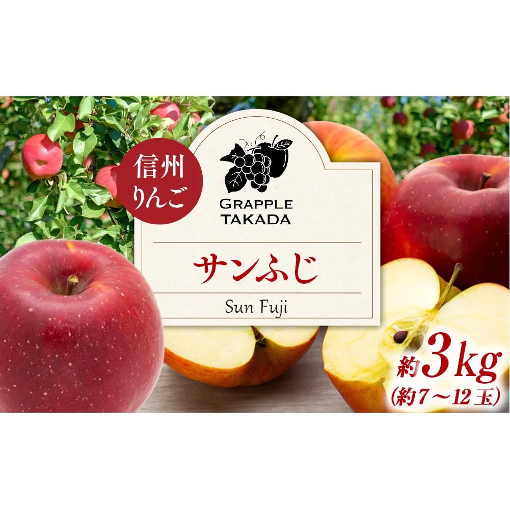 信州りんご サンふじ3kg ※オンライン決済限定 りんご リンゴ 林檎 長野 フルーツ 果物 信州産 長野県産 特産 産地直送 おすすめ