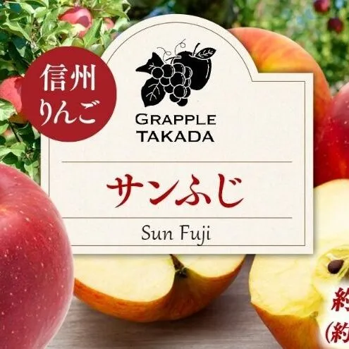 信州りんご サンふじ3kg ※オンライン決済限定 りんご リンゴ 林檎 長野 フルーツ 果物 信州産 長野県産 特産 産地直送 おすすめ