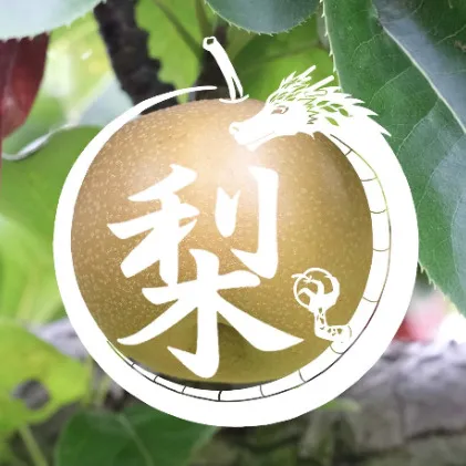 【無農薬】南信州からお届け 信州産 皮ごと食べられる安心安全の南水 約 3kg (8玉前後) フルーツ 果物 長野県産 デザート おすすめ 特産 産地直送