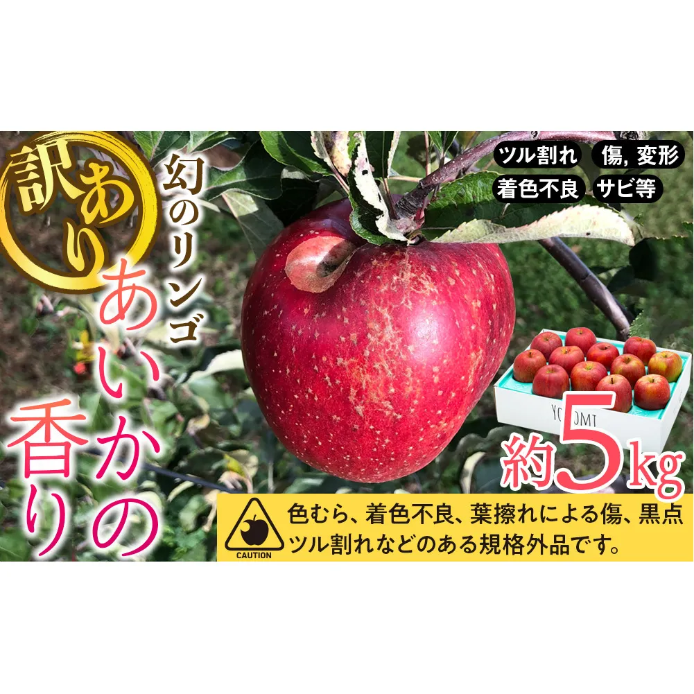 訳あり りんご あいかの香り 約5kg セット 2026年 令和8年度発送分 リンゴ 林檎 長野 フルーツ 果物 信州産 長野県産 特産 産地直送 家庭用 おすすめ