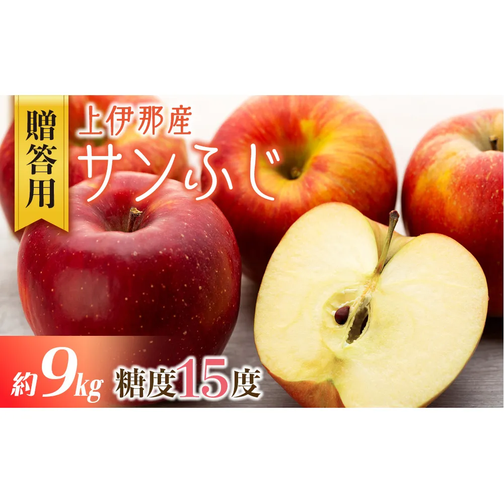 贈答用 りんご サンふじ 9kg 上伊那産 林檎 リンゴ サンフジ さんふじ 果物 くだもの フルーツ 旬の果物 旬のフルーツ ギフト 贈り物 プレゼント 信州 長野 長野県 