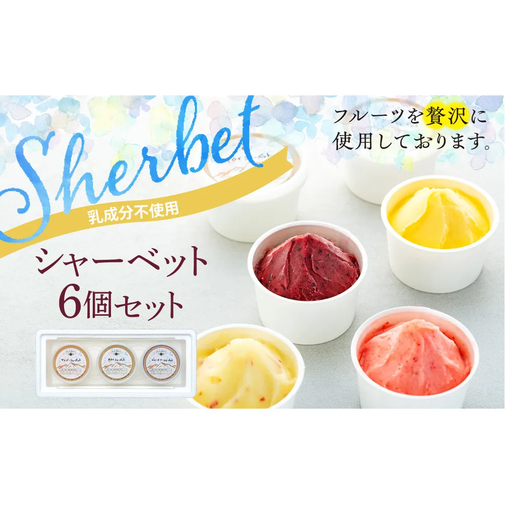乳成分不使用 シャーベット 6個 セット 詰め合わせ フルーツシャーベット いちご りんご ブルーベリー キウイ マンゴー ぶどう アイス デザート スイーツ お菓子 菓子 おやつ 信州 長野 長野県