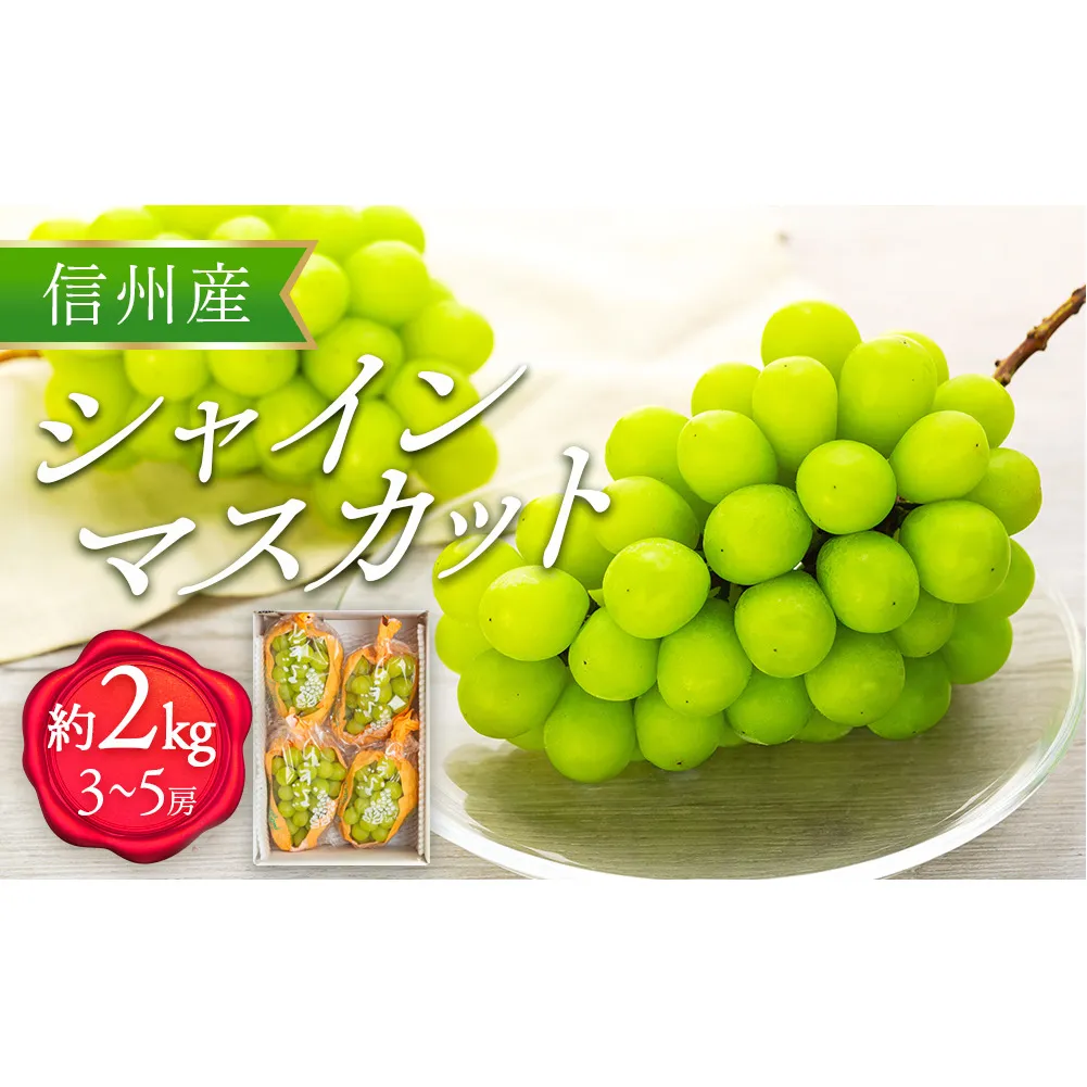 シャインマスカット 2kg 3～5房 ぶどう 葡萄 ブドウ マスカット 果物 くだもの フルーツ 旬の果物 旬のフルーツ 信州 長野 長野県