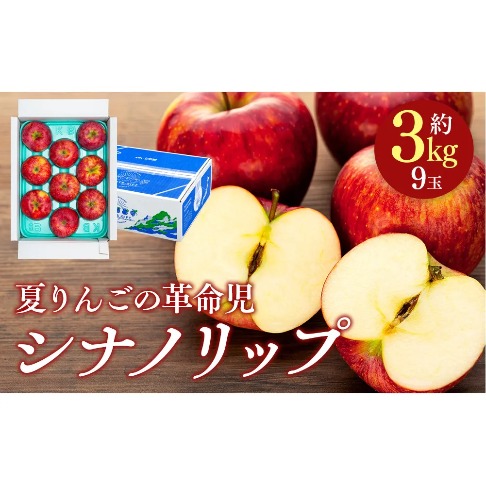 シナノリップ　約3kg（9玉） 果物 フルーツ りんご 信州産 信州のりんご 信州の果物 長野のりんご さわやかな酸味 甘味 バランス ジューシー