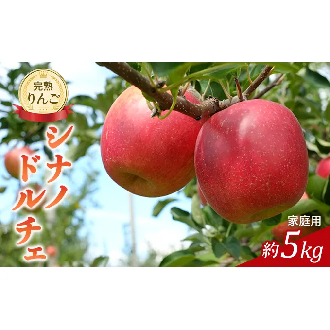 先行予約 りんご シナノドルチェ 約5kg 家庭用 2026年 令和8年発送 完熟りんご・外観は不揃いだけど美味しいよ 果物 果物類 リンゴ 林檎 フルーツ 長野のりんご 信州産 長野県産 信州りんご デザート 食後