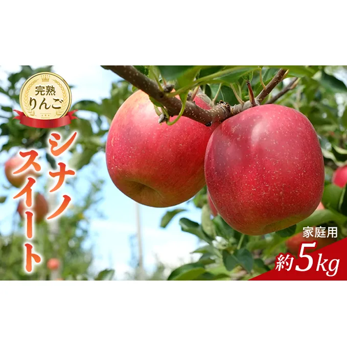 先行予約 りんご シナノスイート 約5kg 2026年 令和8年発送 家庭用 完熟りんご 外観は不揃いだけど美味しいよ 林檎 リンゴ 傷 キズ 果物 くだもの フルーツ 旬の果物 旬のフルーツ 信州 長野 長野県
