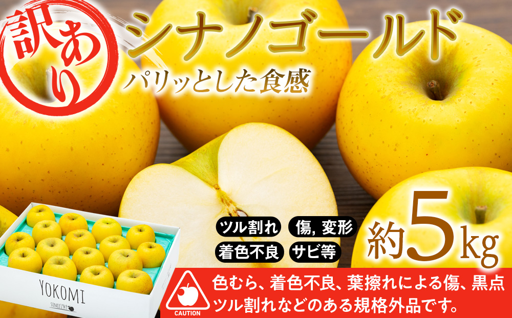 青森県産【B級品・シナノゴールド・20kg（20キロ）用 木箱