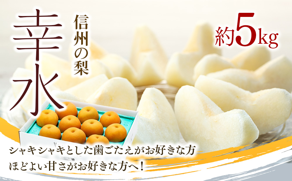 梨 幸水 5kg 2025年秋! 信州の梨 シャリっとしてみずみずしい梨 梨 幸水 5kg 2025年秋! 信州の梨 シャリっとしてみずみずしい梨