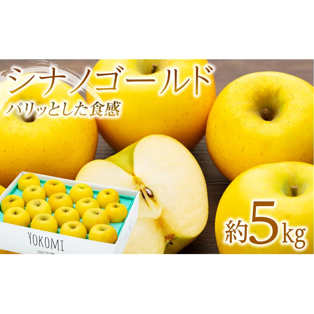  りんご シナノゴールド 5kg 2025年 令和7年発送 完熟りんご パリッとした食感 林檎 リンゴ 果物 くだもの フルーツ 旬の果物 旬のフルーツ 信州 長野 長野県 