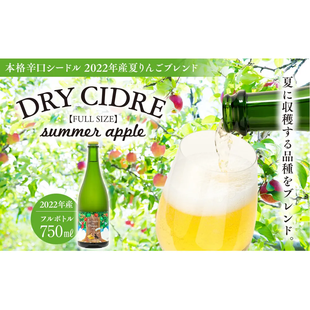 シードル 750ml 1本 きめ細かい泡立ち 爽快で深み感じる 本格 辛口シードル 2022年産 夏りんごブレンド フルボトル 辛口 りんご お酒 酒 アルコール おうちごはん 長野 長野県 箕輪町